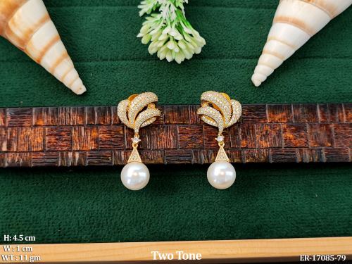 AD Earrings in Two-Tone Finish