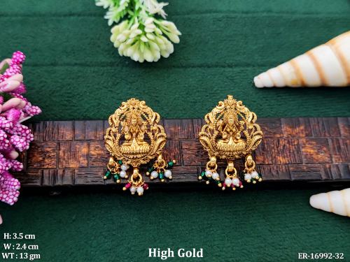Temple Stone-Studded Earrings