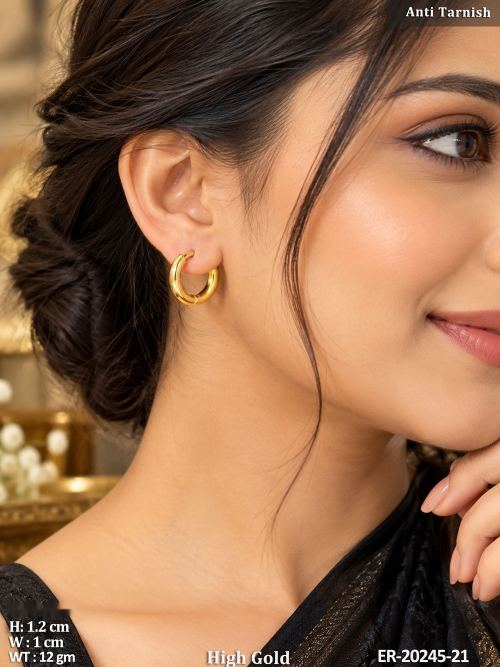 Graceful Daily Wear Earrings for Women