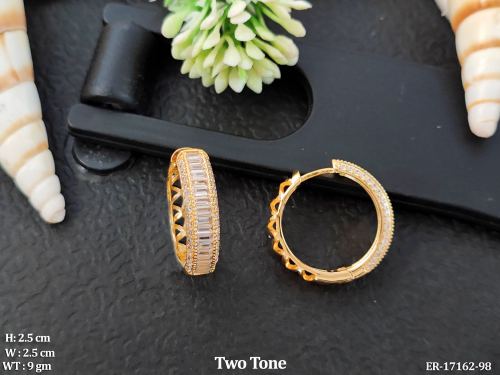 Hoop Earrings with Crystals in Two-Tone Finish
