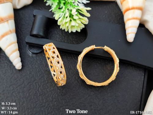 Earrings with CZ Stones in Two-Tone Finish